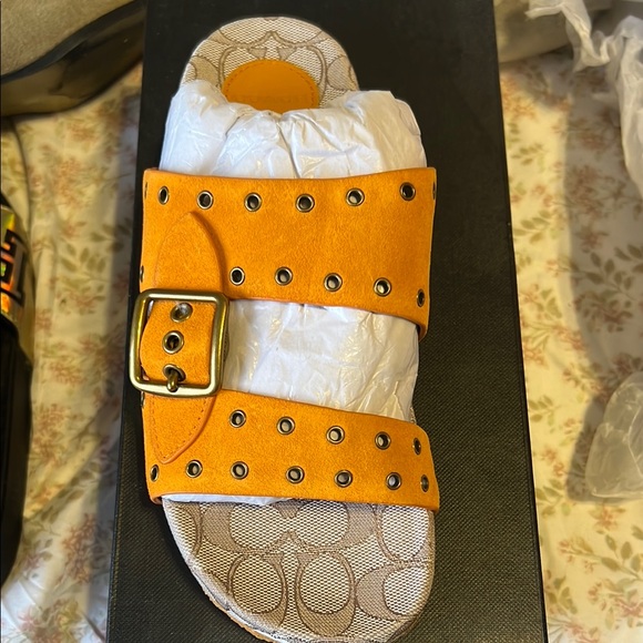 Coach Papaya Suede Sandals - Picture 1 of 4